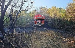 Bursa’da ormanlık alanda çıkan yangın kontrol...