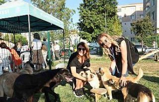 Bursa’da Sahiplendirme Şenliği