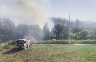 Bursa’daki orman yangını kontrol altına alındı