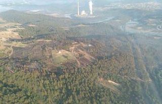 Bursa’daki yangın söndürüldü, yeşil orman...