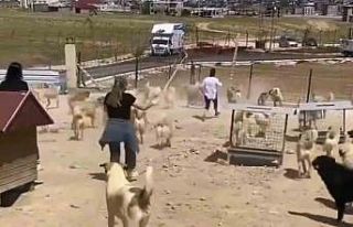 Büyükşehir Belediyesi bünyesinde faaliyet gösteren...