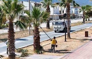 Büyükşehir Belediyesi’nden Davutlar ve Güzelçamlı’da...