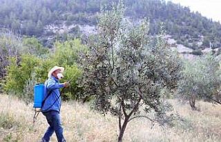 Büyükşehir, dolu felaketinin yaralarını sarıyor