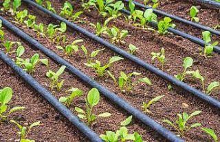 Büyükşehir’den kırsal kalkınmaya önemli destek