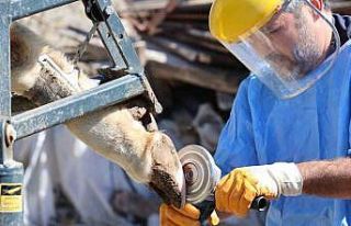 Büyükşehir’den tarım ve hayvancılığa can...