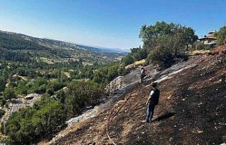 Çal’da başlayan yangın büyümeden söndürüldü