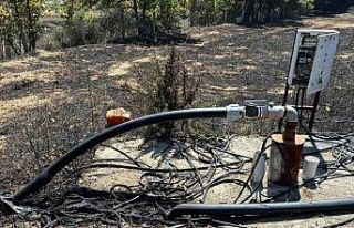 Çanakkale ve Biga’daki yangınlarla ilgili 3 kişi...