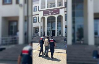 Çanakkale’de arazide 77 kök kenevir ele geçirildi:...