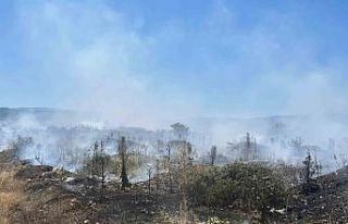 Çanakkale’de çöplük yangını söndürüldü