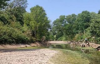 Çanakkale’de kuraklık çayı vurdu, çok sayıda...