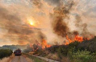 Çanakkale’de otluk alanda yangın