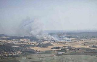 Çanakkale’de tarım arazisinde başlayan yangın...