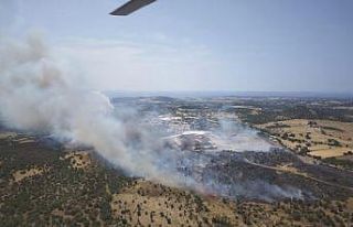 Çanakkale’de tarım arazisinde çıkan ve ormanlık...