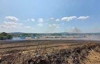 Çanakkale’de tarım arazisinde yangın