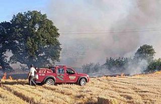 Çan’da anız yangını söndürüldü
