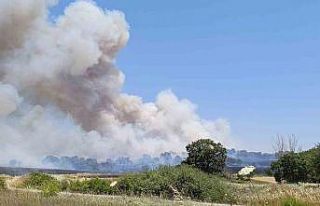Çan’da tarım arazisinde yangın çıktı