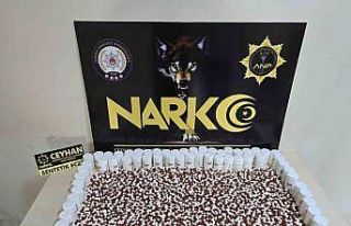 Ceyhan’da organize suç örgütü çökertildi