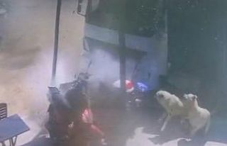 Çocuğun kullandığı kamyonun altında ezilmekten...