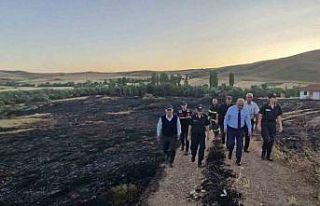 Çorum Valisi Çalgan, yangın bölgesinde incelemelerde...