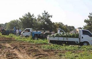 Çukurova’dan sonra Türkiye’nin gözü burada