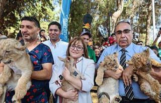 Cumhurbaşkanı Erdoğan’a hediye edilen aslanların...