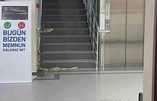 Darıca Belediyesi’nden, Başkan Bıyık’ın sağlık...