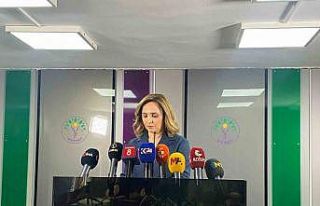 DEM Parti Sözcüsü Doğan: "İmralı Adası’na...