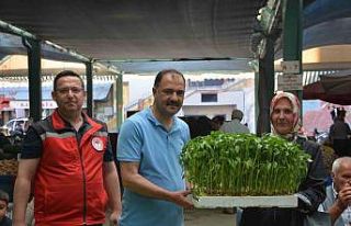 Demircili çiftçilere 40 bin ücretsiz sebze fidesi...