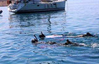 Deniz dibi temizliği sürüyor