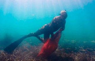 Deniz dibi temizliği Turgutreis’te devam etti