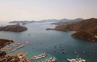 Denizlerin akciğerleri nefes alacak