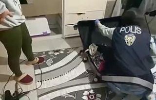 Denizli’de nitelikli dolandırıcılık şebekelerine...