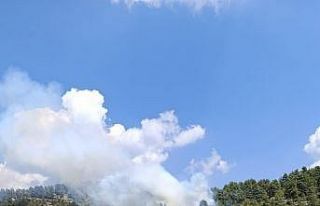 Denizli’de yıldırım düşmesi sonucu 2 ayrı...