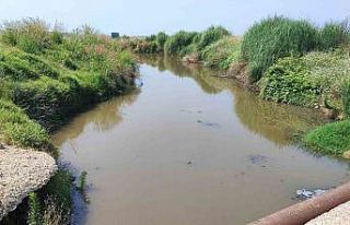 Dere yatağına kanalizasyon akıyor