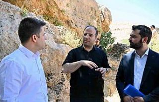 Derik Kaymakamı Bayraklı, zeytinliklerde yürütülen...