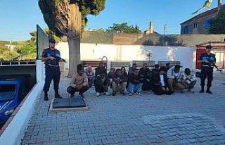 Didim’de 16 düzensiz göçmen ve 1 organizatör...