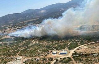 Didim’de makilik alan yangını