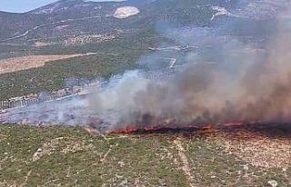 Didim’de makilik yangını