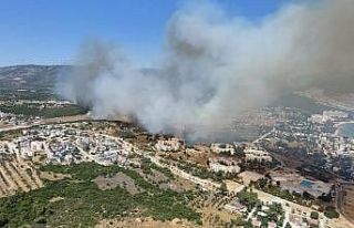 Didim’deki makilik yangınını söndürme çalışmaları...