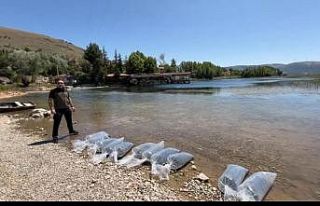 Dinar’da baraj ve göletlere 205 bin yavru balık...