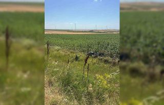 Direksiyon hakimiyetini kaybeden sürücü tarlaya...