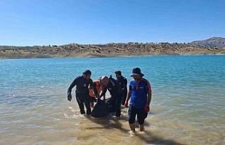 Diyarbakır’da Kralkızı Barajı’na giren genç...