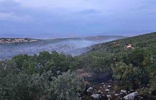 Diyarbakır’da örtü yangını