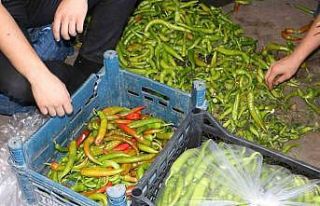 Diyarbakır’da sıcak hava sebze ve meyveleri etkiledi