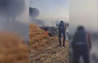 Diyarbakır’da vatandaşlar ağaç dallarını kopararak...