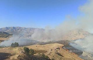 Diyarbakır’da yaylada örtü yangını