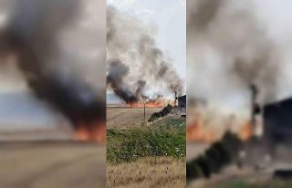 Diyarbakır’ın 3 mahallesinde buğday tarlası...