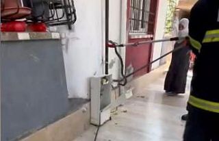 Doğal gaz kutusuna giren yılan doğal ortamına...