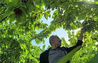 Doğayla iç içe lezzetli bir deneyim