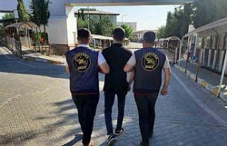 Dolandırıcılık ve uyuşturucu suçlarından cezası...